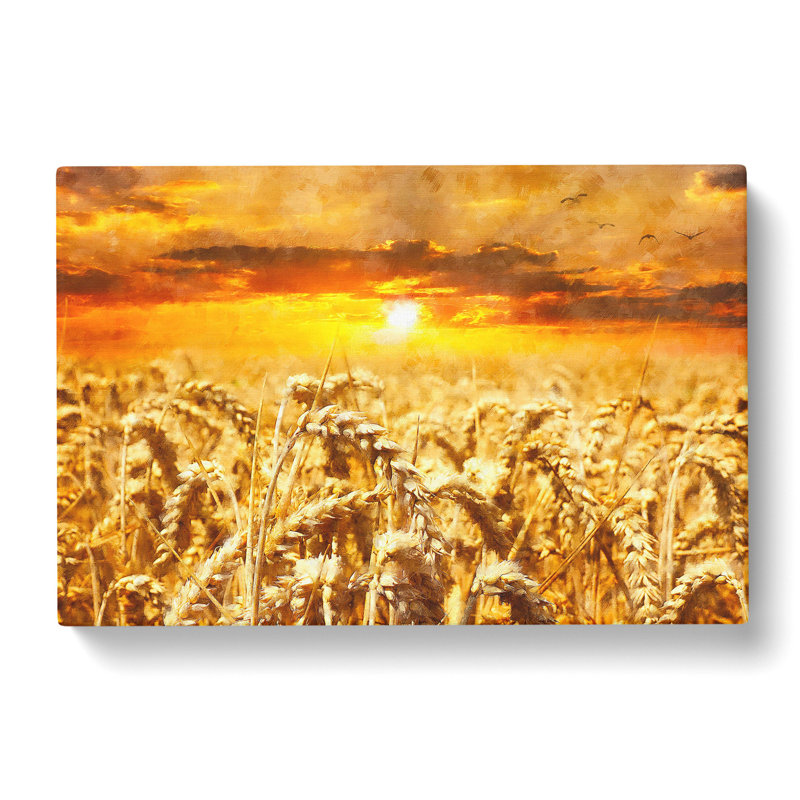 Wheat Field At Sunset - Wrapped Canvas Print, 50cm H x 76cm W x 3cm D