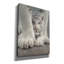 «Shelter» par Collin Bogle, art mural sur toile-486523221