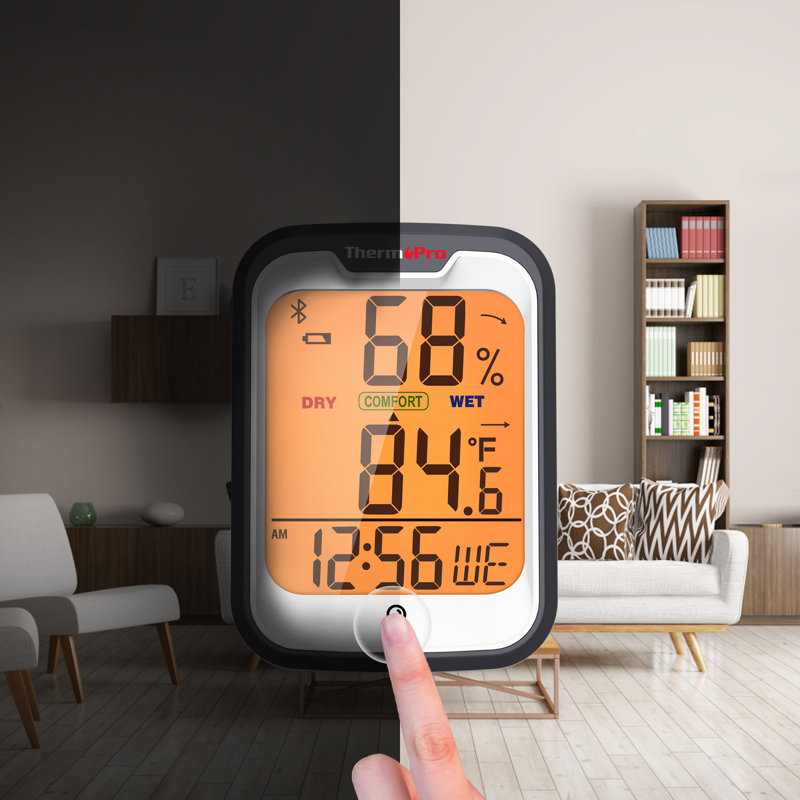 ThermoPro Thermometer