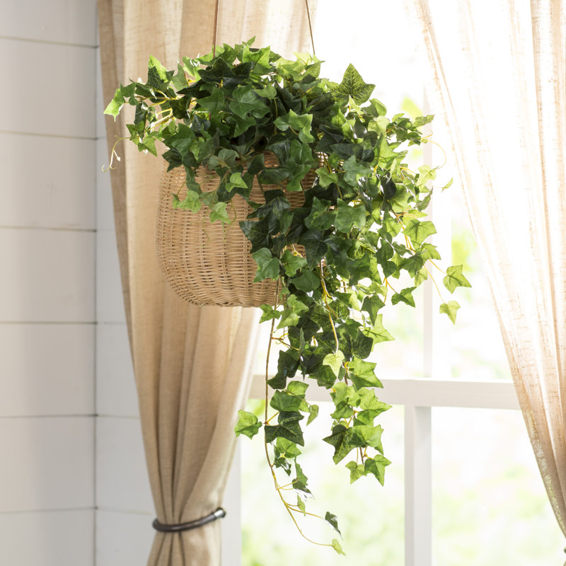 Plante lierre artificielle 26 "
