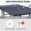 Ensemble de table de ping-pong pliable et portable 9 pi DOUBLE Fish