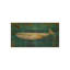 Balaenoptera Musculus Print by Sofia Fox-26930749-26930750