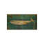 Balaenoptera Musculus Print by Sofia Fox-26930750-26930749