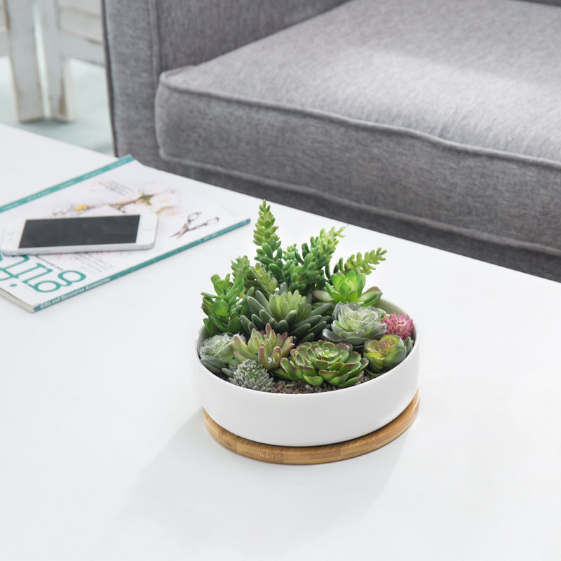 Pot Planter