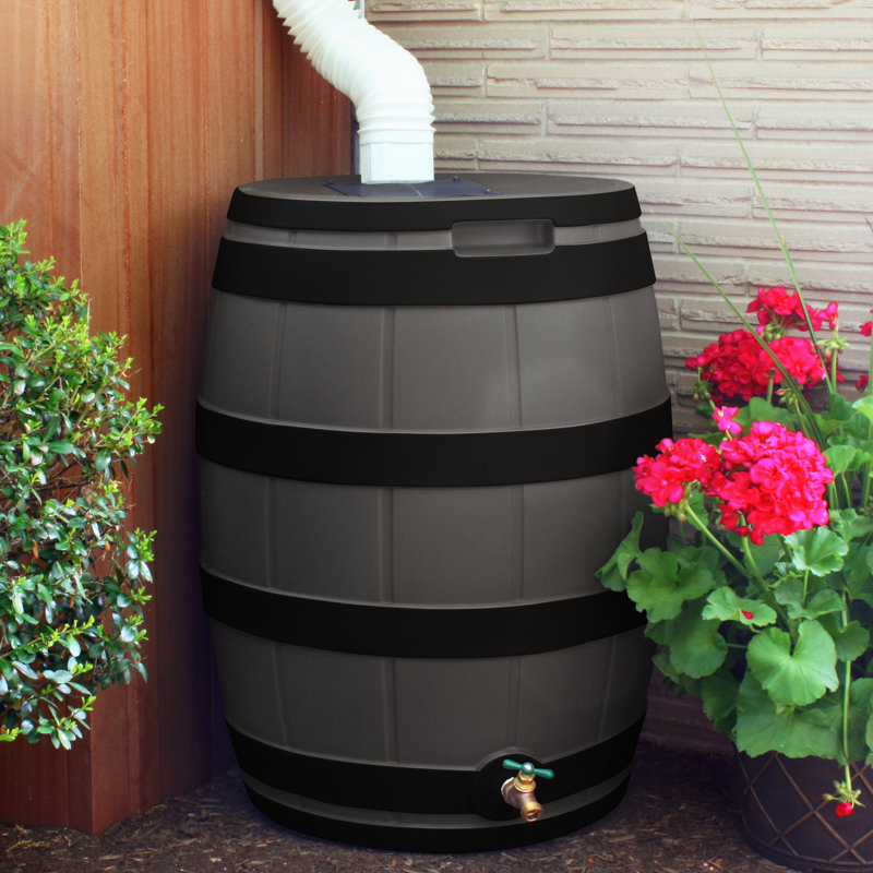 Baril d'eau de pluie 50 gallons, Chêne