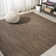 Alianna Modern Flatweave Solid Brown Indoor/Outdoor Rug