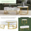 Almirah Frame Coffee Table with Storage