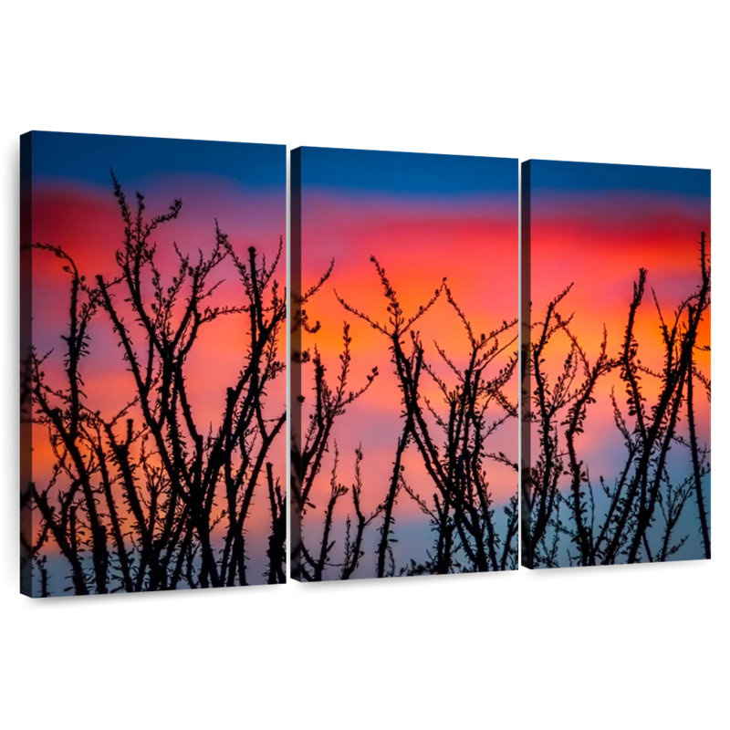 Harnek Ocotillo au coucher du soleil, H 20 po x l 33 po