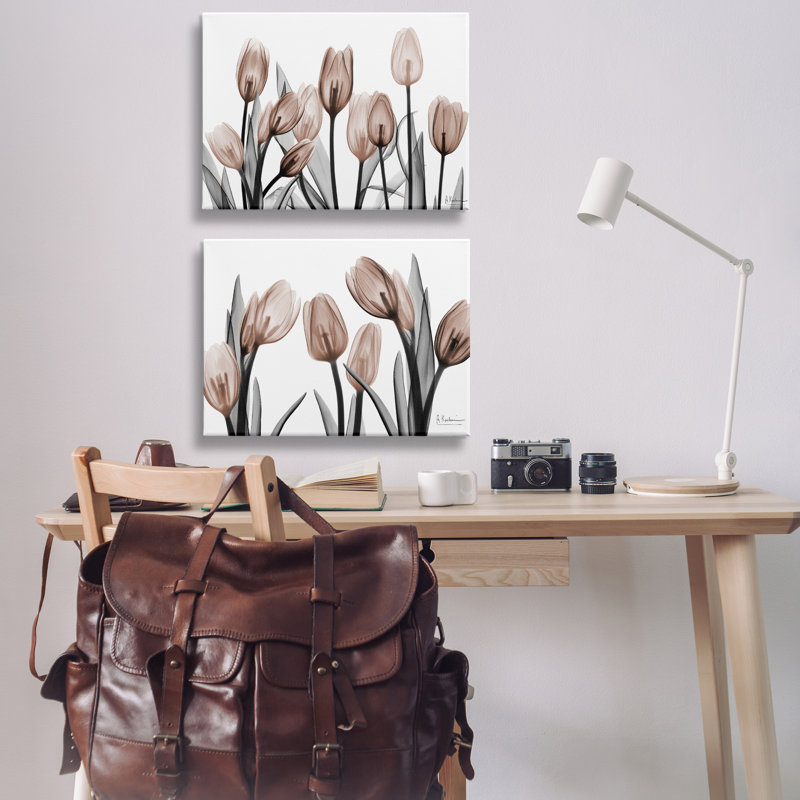 Ensemble de 2 tulipes translucides en moka translucides, design par Albert Koetsier, H 20 po x l 30 po