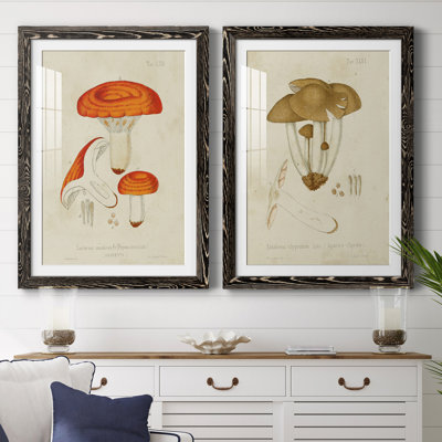 Champignon Variétés de qualité supérieure encadré mat - prêt à accrocher
