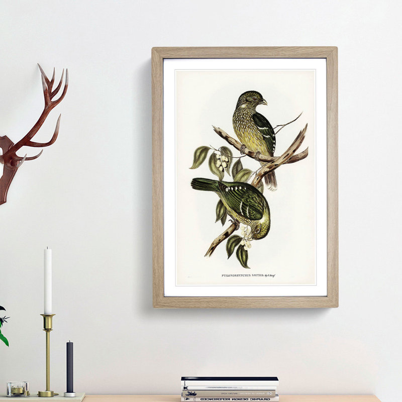 Cat Birds by Elizabeth Gould - Picture Frame Graphic Art Print, Oak Framed, 36cm H x 27cm W x 2cm D