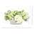 Assorted Hydrangea and Heather Arrangement-169039035