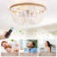 Ventilateur de plafond 5 lumières