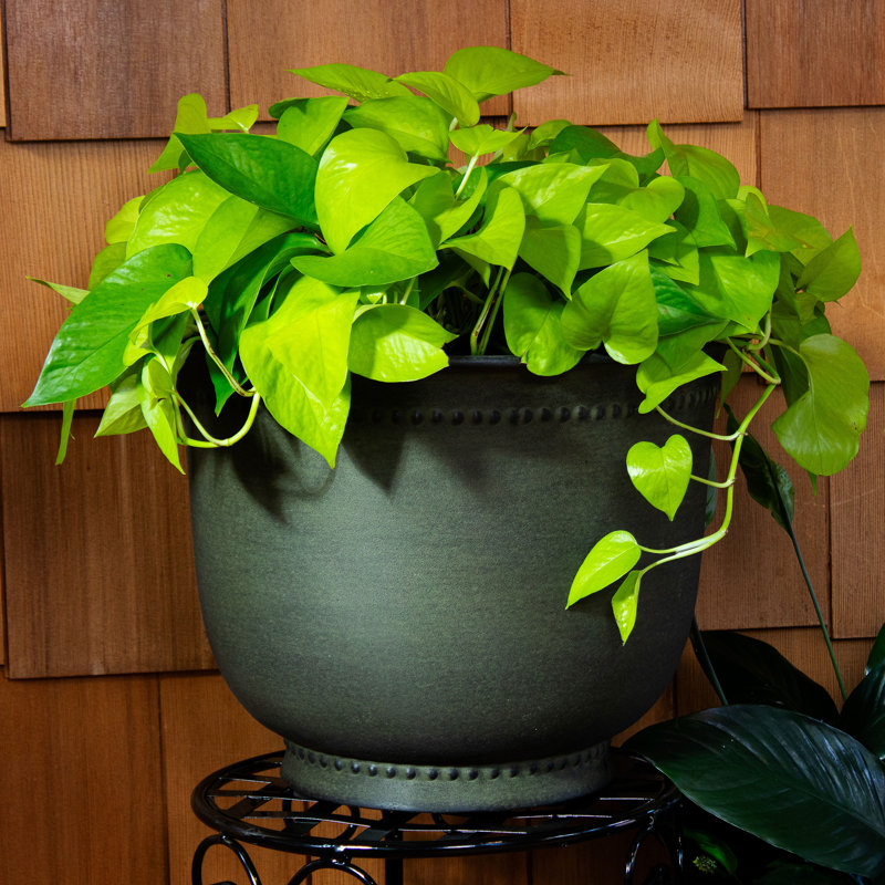 Ensemble de 4 pots à fleurs ronds pour l'extérieur en métal 14,5 po x 14,5 po x 11,25 po Ralen, Vert, 4