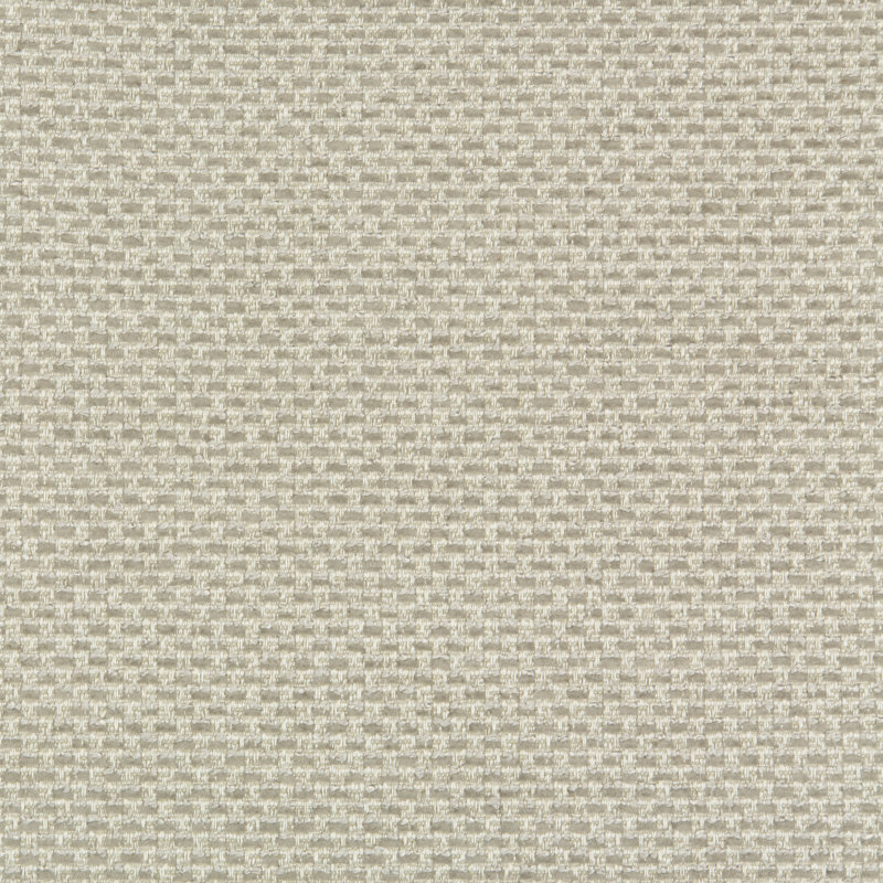 Crypton Home Fabric, Gray