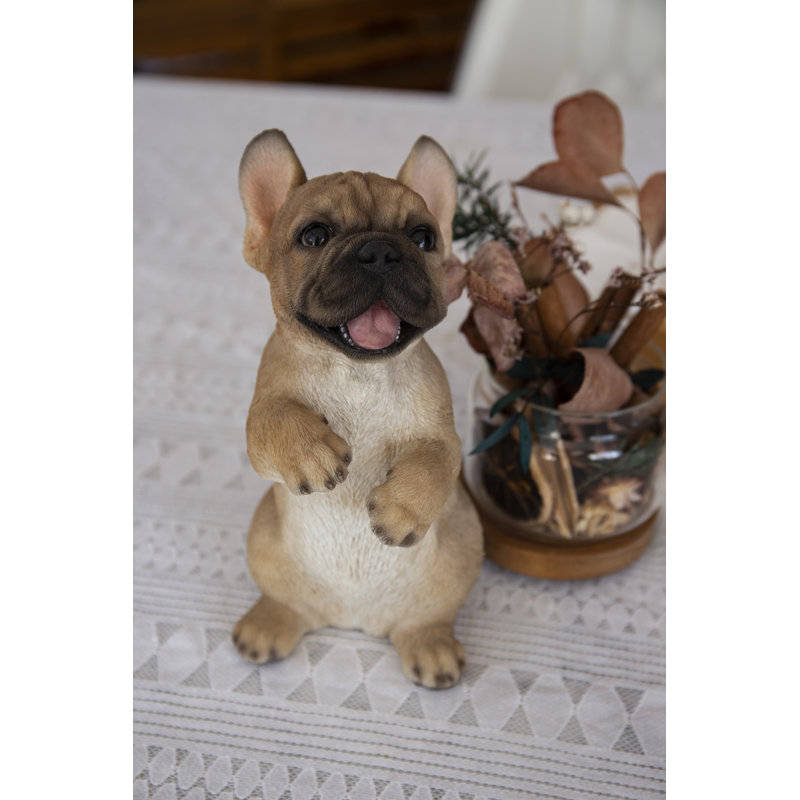 Bouledogue français debout