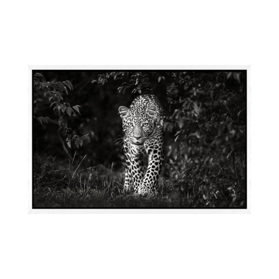 Leopard, Eye To Eye von Xavier Ortega - Galerie-verpackte Leinwand Giclée auf Leinwand