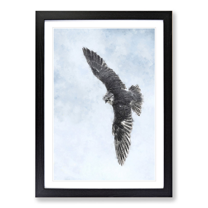 Bird of Prey - Picture Frame Painting, 36cm H x 27cm W x 2cm D, Black Framed