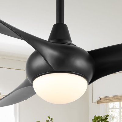 Coleigh 52'' Ceiling Fan with LED Lights