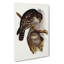 Winking Owls by Elizabeth Gould - Wrapped Canvas-55305047