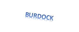 Logo BURDOCK