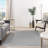 Nourison Essentials Silver/Gray Indoor/Outdoor Area Rug-1575212814