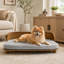 Housse lavable amovible de style moderne pour chien-1844076175