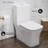 Concorde One Piece Square Toilet Dual Flush 1.1/1.6 gpf in Matte White-1974911174-1982268218