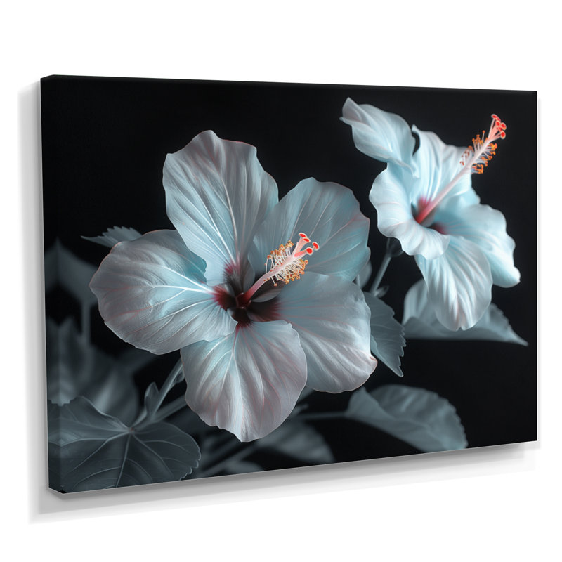 Hibiscus blanc et rose transparent - art mural hibiscus, Toile tendue, H 40 po x l 60 po