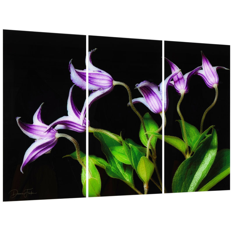 "Violete Belle" Frameless Free-Floating Reverse Printed Tempered Art Glass Panels Set