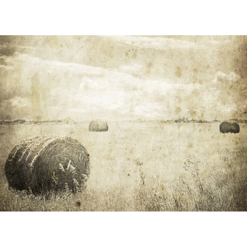 «Hay Bales in the Field», reproduction de photo sur toile, 16 po x 24 po
