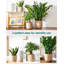 Ceramic Pot Planter-29410785