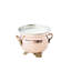 Grapefruit/Mint Scented Jar Candle
