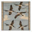  Tapis lavable Coastal Birds-2030916781