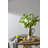 Maksims Ceramic Pitcher-218773364