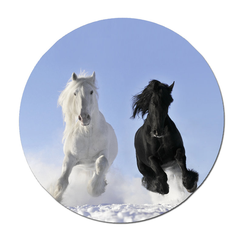 Jour de neige - photographie, H 24 po x l 24 po x P 1,5 po