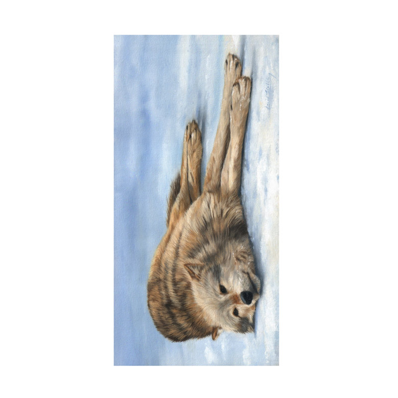 «David Stribble WOLF LAYING IN SNOW», art sur toile, H 10 po x l 19 po