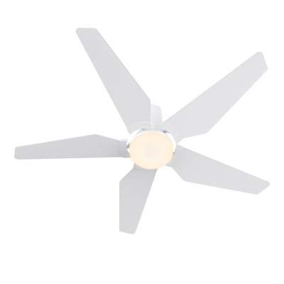 48'' Ceiling Fan with LED Lights