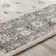 Panorama Oriental Indoor Rug