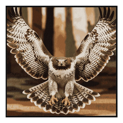  Tapis lavable d'oiseaux Cooper's Hawk