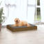 Lit pour chien Tucker Murphy Pet ™ 28,1 po x 21,3 po x 3,5 po en bois de pin massif-1027832993-1034495091
