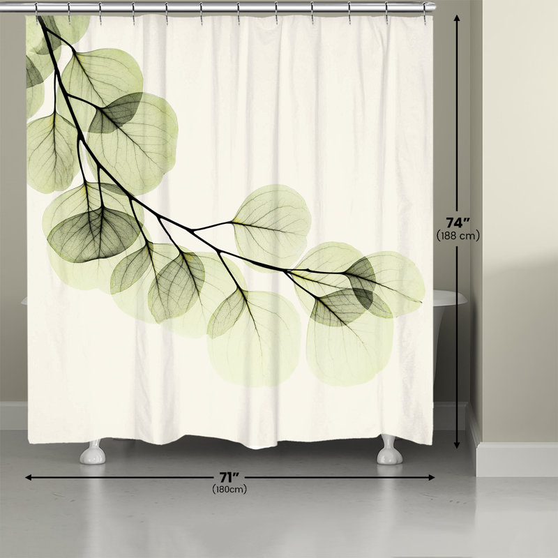 Rideau de douche Pegram X-Ray of Eucalyptus, H 71 po x l 74 po