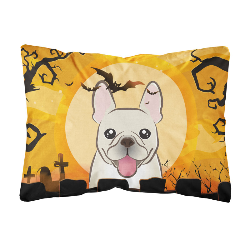  Coussin intérieur / extérieur Halloween
