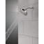 Pomme de douche fixe multifonction-74457044