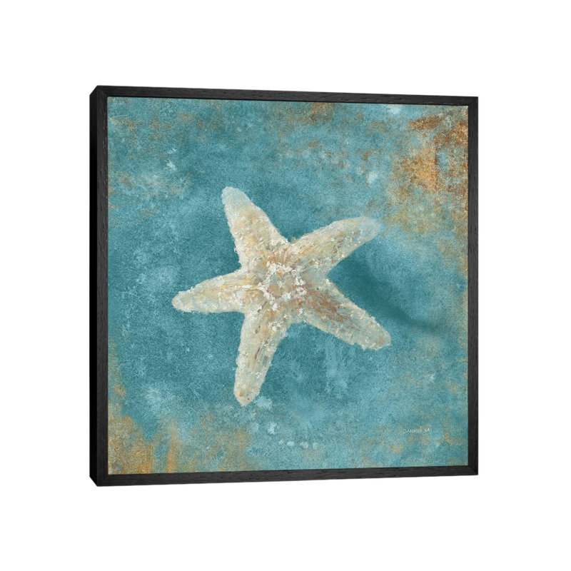 Treasures from the Sea IV 1 Piece Wrapped Canvas Wall Art, 45.72 cm H x 45.72 cm W, Black Framed