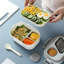 1200ml Food Storage Container-1153845229