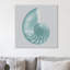 Aquifer Sea Shell - Wrapped Canvas Print-241691210