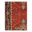 Oriental Area Rug in Rust