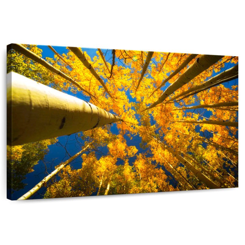 Harnek Under The Golden Aspens