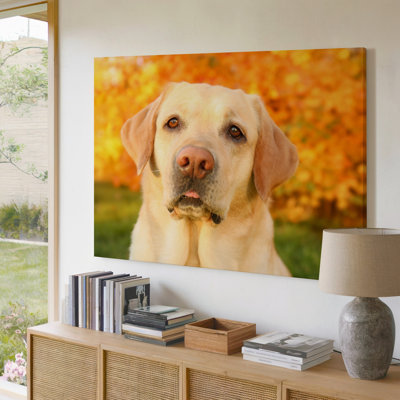 Reproduction d'art sur toile jaune, Labrador Retriever jaune, gros plan, portrait, automne, salon